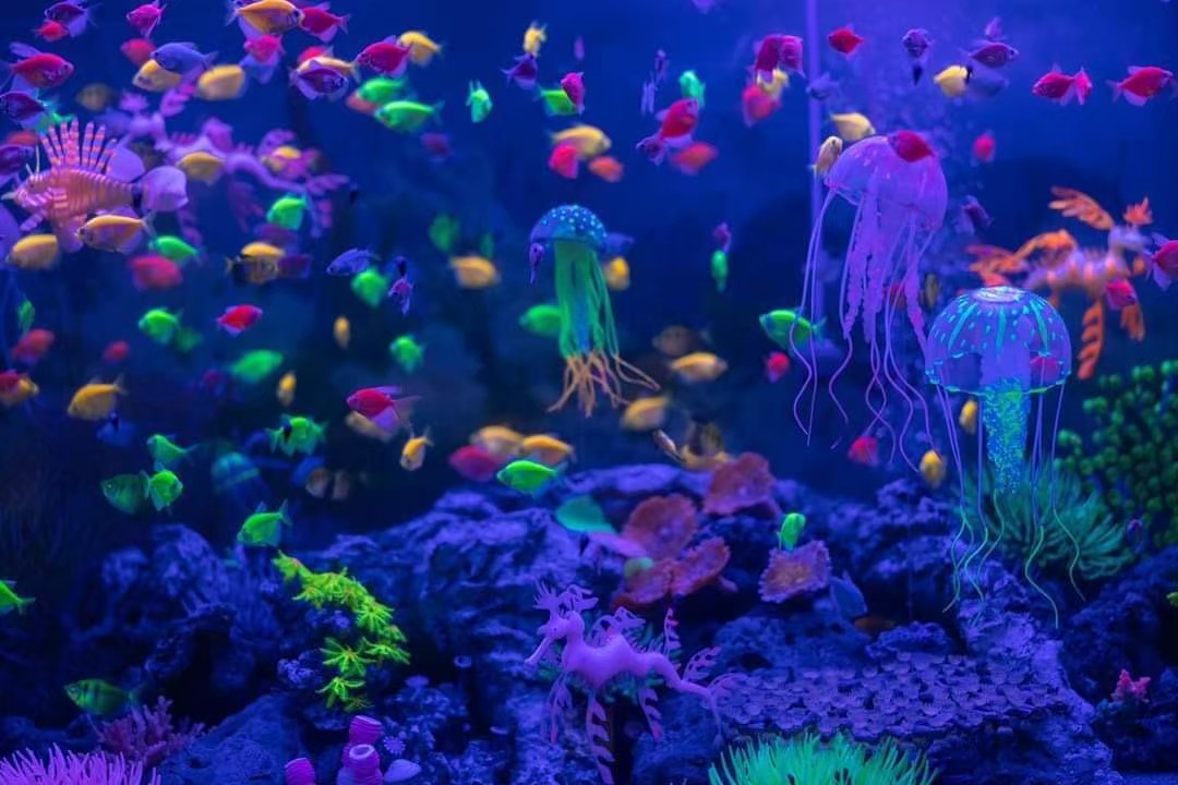 Детские приключения